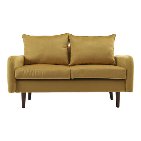 2-Seat Velvet Upholstered Sofa for Living Room, XY0404