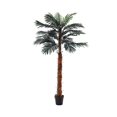 Lifeideas Simulated Plant Indoor Outdoor Palm Tree Decor with Pot, PM1419