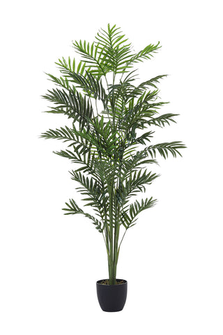 Artificial Dypsis Lutescens Decorative Plant in Planter, PM1581