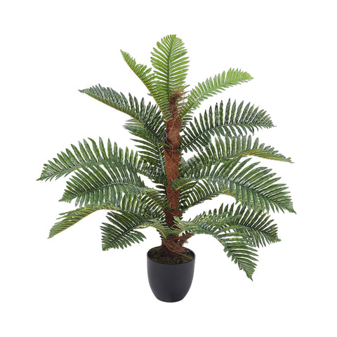 Artificial Phoenix Fern Tree in Pot for Decoration, PM1585