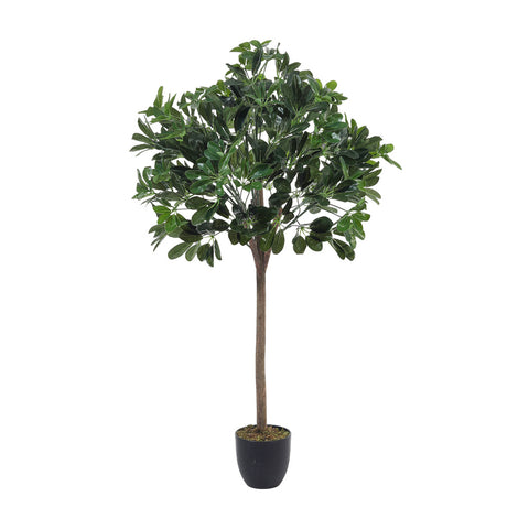 Artificial Schefflera Arboricola Tree in Pot for Decoration, PM1589