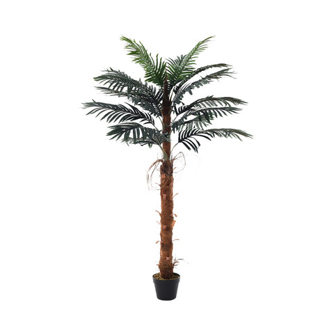 Lifeideas Simulated Plant Indoor Outdoor Palm Tree Decor with Pot, PM1418