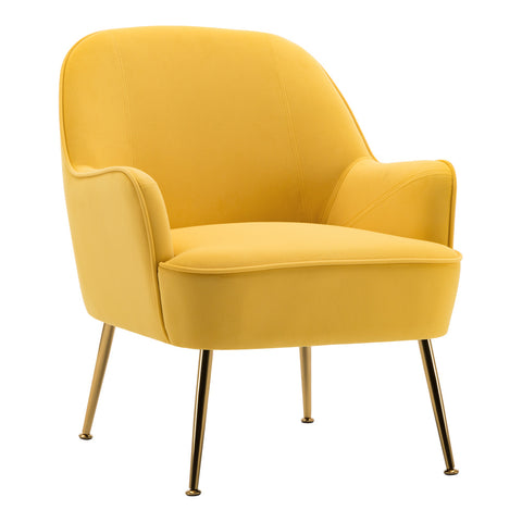 Livingandhome Contemporary Upholstered Comfy Armchair with Gold-Plated Feet, JM1456