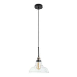 Livingandhome Modern Style Glass Single Light Pendant Light, FI0693