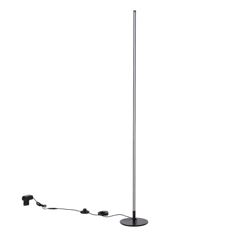 Dimmable LED Floor Lamp with Remote Control, LI530035