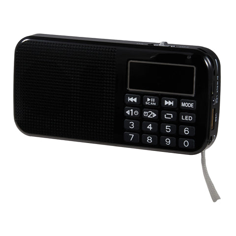 Rechargeable Battery-Powered Portable Digital Radio Speaker, DF380045