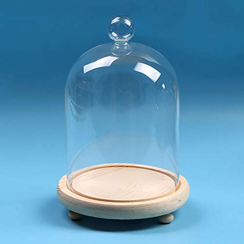 Glass Bell Jar Display Dome with Wood Base, HF0435