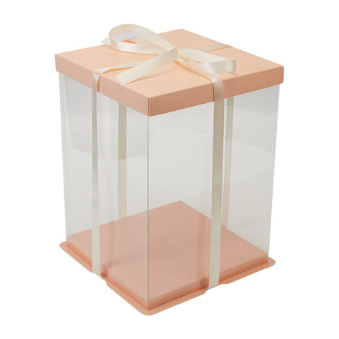 Clear Plastic Cake Gift Box with Ribbon, SC1500