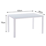 Rectangular Tempered Glass Dining Table, HG0260