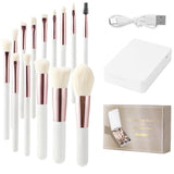 14-Piece Portable Makeup Brush Set with LED Mirror Case, BM590054