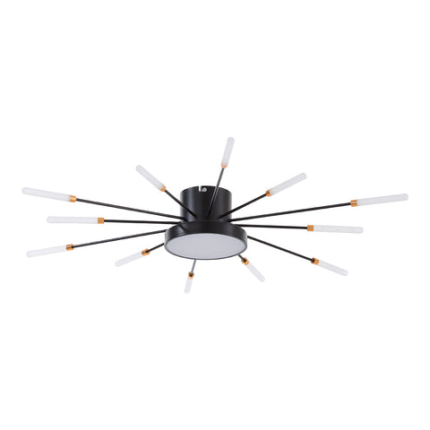 Dimmable LED Ceiling Light Fixture with Remote Control, LI040010 (Ver.2)