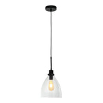 Livingandhome Modern Style Glass Single Light Pendant Light, FI0694