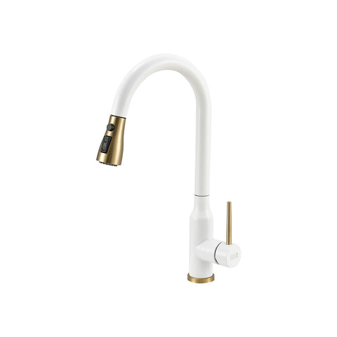 Retractable Pull-down Kitchen Faucet, DM0608