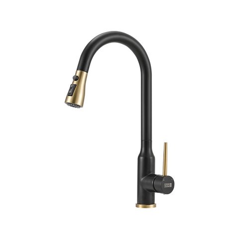 Retractable Pull-down Kitchen Faucet, DM0609