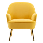 Livingandhome Contemporary Upholstered Comfy Armchair with Gold-Plated Feet, ZH1720