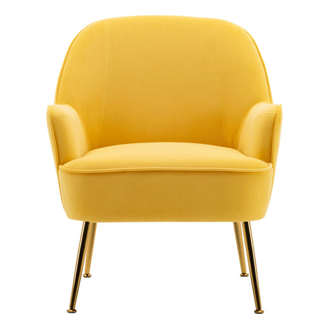 Livingandhome Contemporary Upholstered Comfy Armchair with Gold-Plated Feet, FA0149