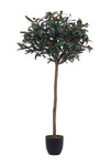 Artificial Olive Tree Decorative Plant in Planter, PM1577