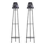 2 Pack Double Tier Solar-Powered Plant Stand, WF0291