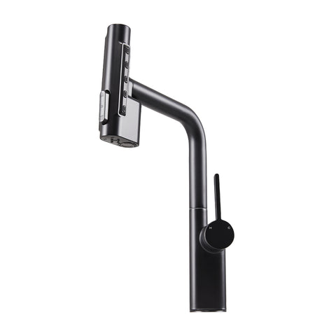 Kitchen Faucet with Pull out Sprayer, DM0980 (Ver.2)