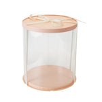 Clear Plastic Cake Gift Box with Ribbon, SC1520