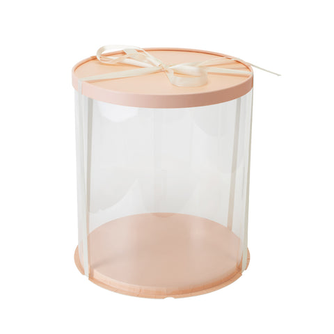 Clear Plastic Cake Gift Box with Ribbon, SC1520