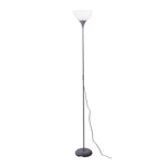 Elegant Floor Lamp with Remote Control, FI1149