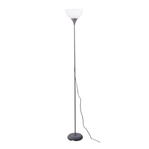 Elegant Floor Lamp with Remote Control, FI1149