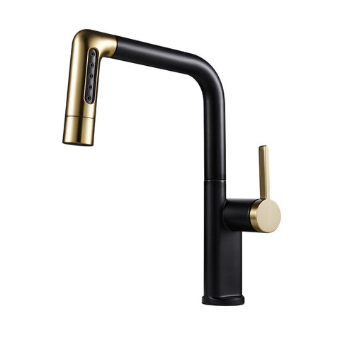Pull-out Sprayer Retractable Kitchen Faucet with 5 Modes, DM0993 (Ver.2)