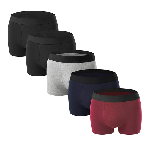 5-Pack Boxers with Elastic Waist, CC290160 (Ver.2)