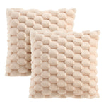 2Pcs Cozy Soft Plush Throw Pillow Cushion Covers, HT390033