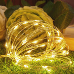 Livingandhome 5M Fairy String Lights, 3000K, Powered by 3 AA Batteries, AJ0189