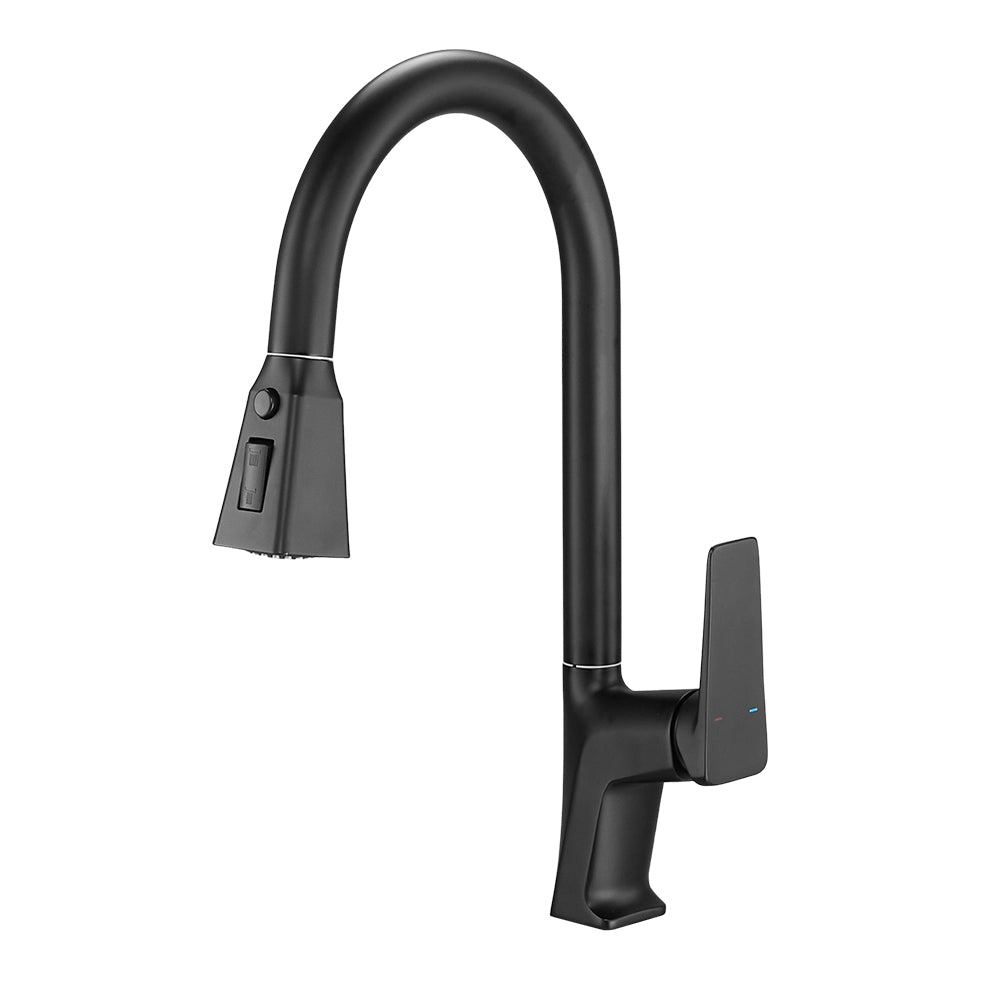 Kitchen Faucet with Pull out Sprayer, MD170010 – EVER STRONG