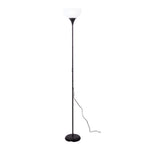 Elegant Floor Lamp with Remote Control, FI1148