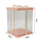 Livingandhome Clear Plastic Cake Gift Box with Ribbon, SC1501