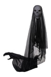 Halloween Sound Control Glowing Hanging Skeleton Ghost, JR0009