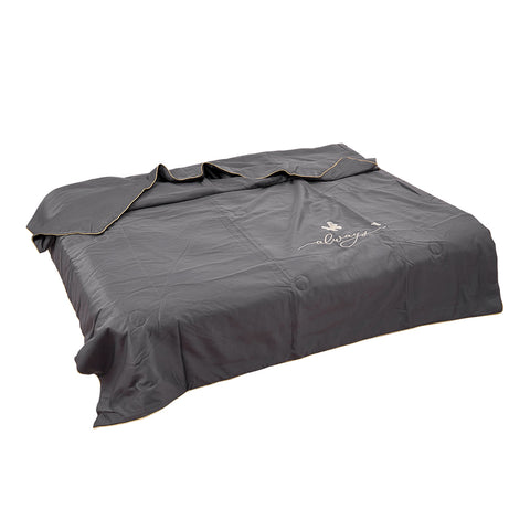 Small Double Washable Ice Silk Summer Cooling Quilt, HT390141