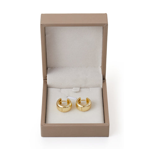 14K Gold-Plated Hoop Earrings, CA290052