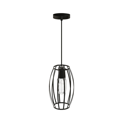 Single-Light Black Iron Pendant Light, LI530070