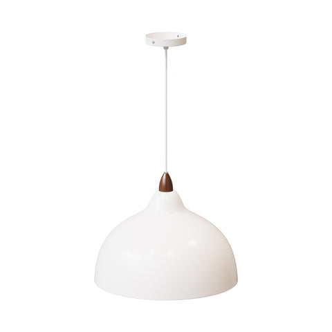 E27 Metal Lampshade Pendant Light, LI530069 (Ver.2)