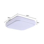 Modern Ceiling Light, LG1198