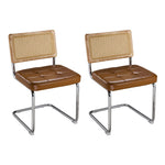 2Pcs Vintage Dining Chairs, FD240041 (Ver.2)