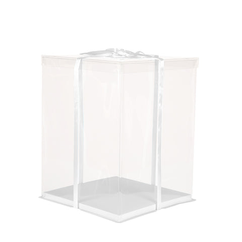 Clear Plastic Cake Gift Box with Ribbon, SC0991