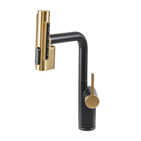 Kitchen Faucet with Pull out Sprayer, DM0983 (Ver.2)