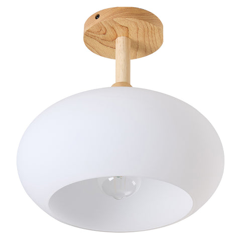 Modern Ceiling Light, LI210012 (Ver.2)