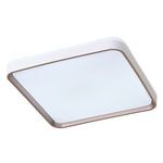 Modern Square Adjustable Ceiling Light with Remote Control, LI210045