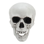 Livingandhome Halloween Realistic Plastic Skull Tabletop Decoration, SC1469