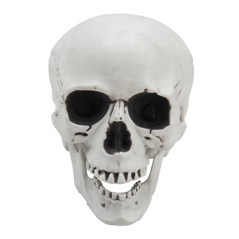Livingandhome Halloween Realistic Plastic Skull Tabletop Decoration, SC1469