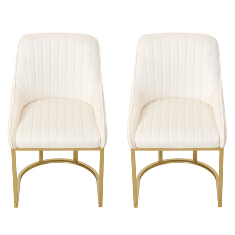 Set of 2 Upholstered Dining Chairs, FD240001 (Ver.2)