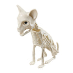 Spooky Cat Skeleton Figurine Bone Statue for Halloween Decor, IF540099 (Ver.2)
