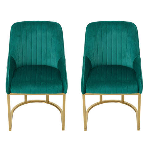 Set of 2 Upholstered Dining Chairs, FD240003 (Ver.2)